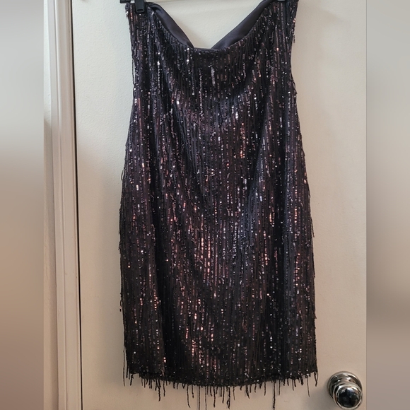 Wild Fable sequin fringe stretch lace strapless dress - Picture 12 of 16